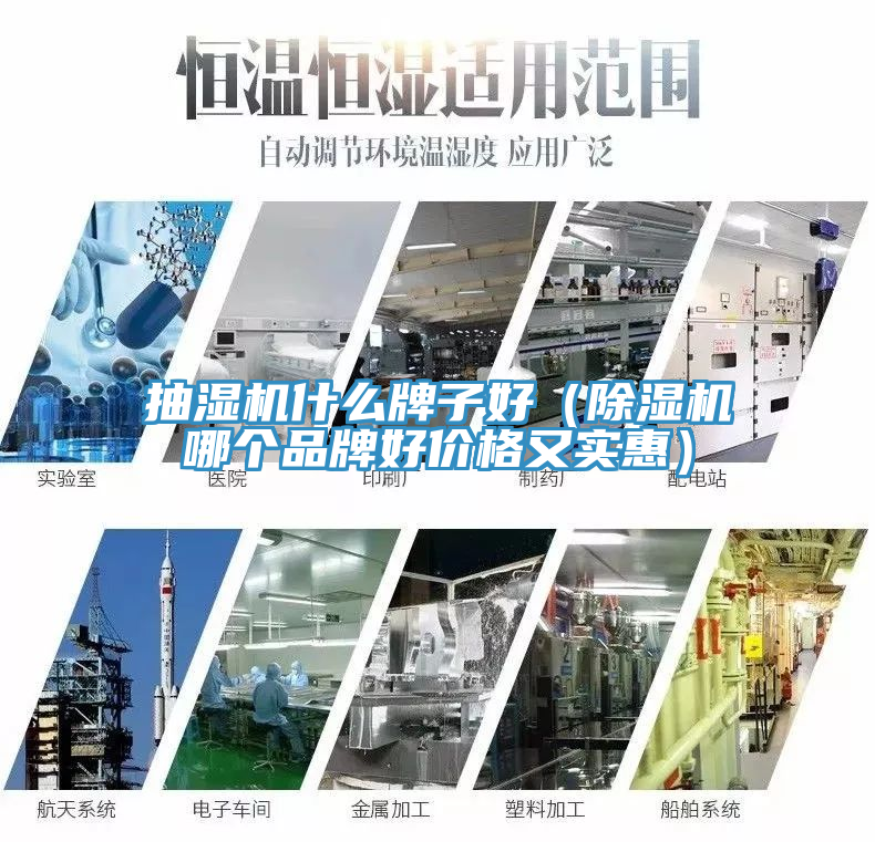 抽濕機什麽牌子好（榴莲视频官网APP哪個品牌好價格又實惠）
