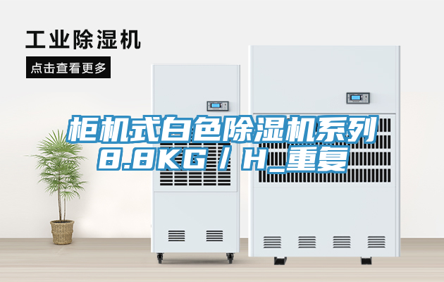 櫃機式白色榴莲视频官网APP係列8.8KG／H_重複