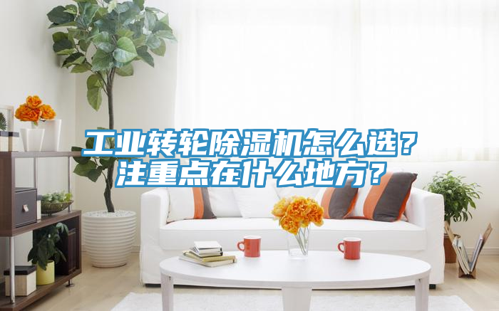 工業轉輪榴莲视频官网APP怎麽選？注重點在什麽地方？