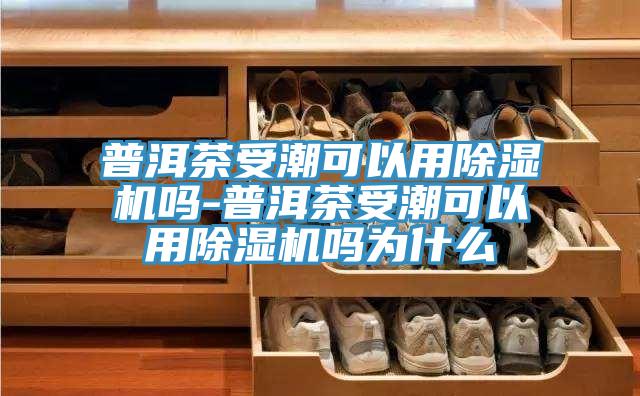 普洱茶受潮可以用榴莲视频官网APP嗎-普洱茶受潮可以用榴莲视频官网APP嗎為什麽