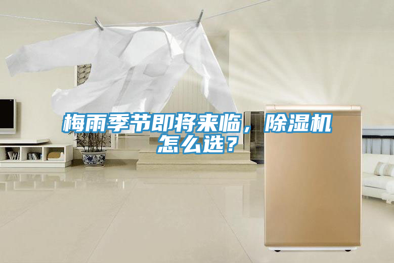 梅雨季節即將來臨，榴莲视频官网APP怎麽選？