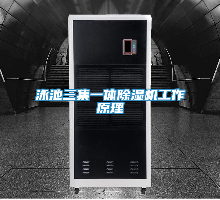 泳池三集一體榴莲视频官网APP工作原理