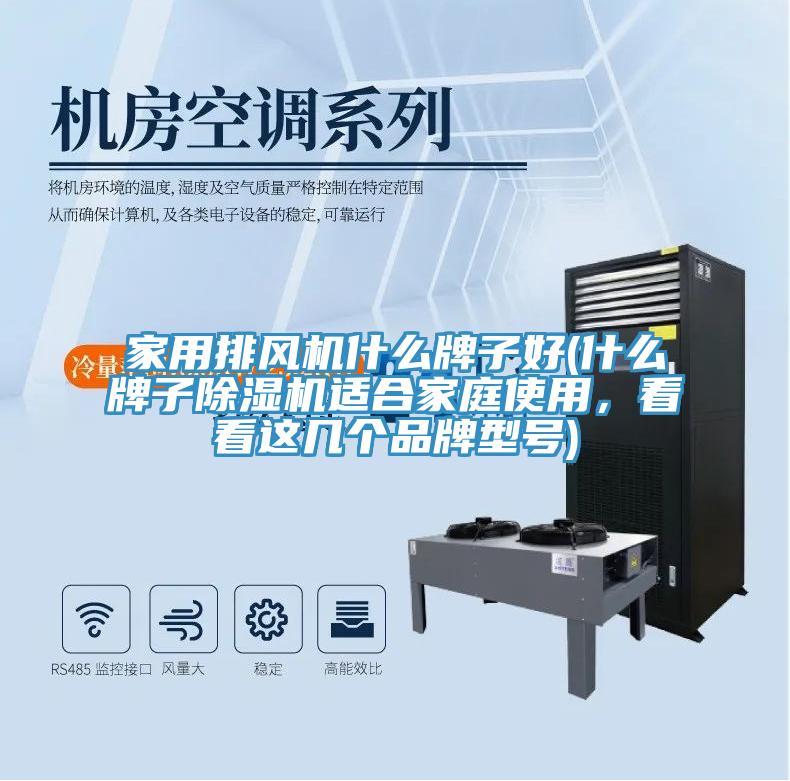家用排風機什麽牌子好(什麽牌子榴莲视频官网APP適合家庭使用，看看這幾個品牌型號)