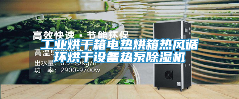 工業烘幹箱電熱烘箱熱風循環烘幹設備熱泵榴莲视频官网APP