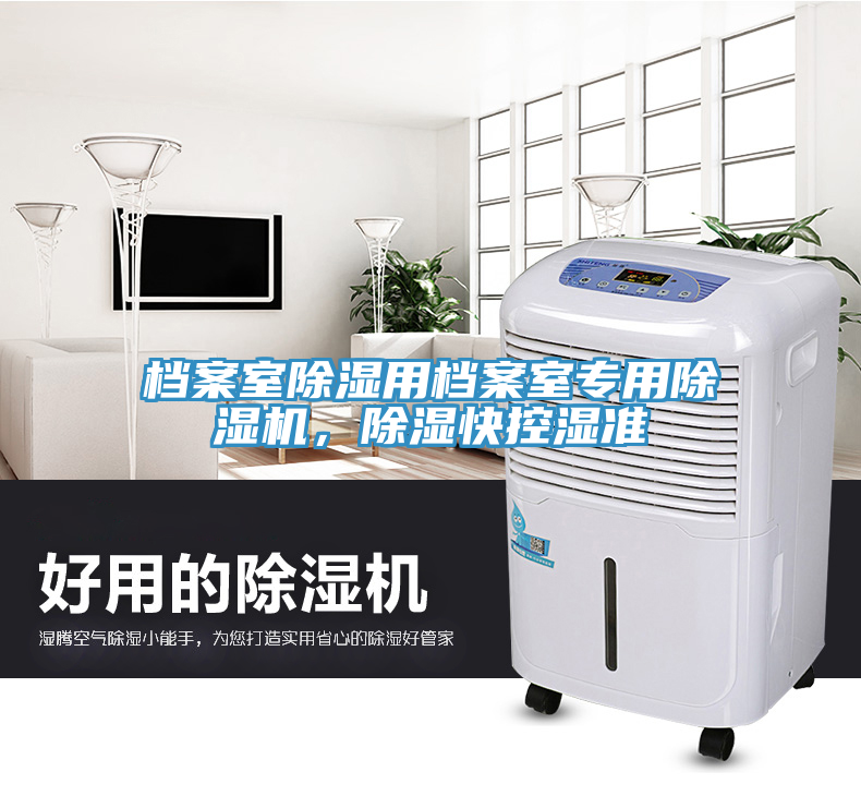 檔案室除濕用檔案室專用榴莲视频官网APP，除濕快控濕準
