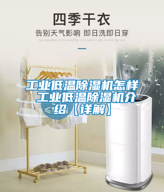 工業低溫榴莲视频官网APP怎樣 工業低溫榴莲视频官网APP介紹【詳解】