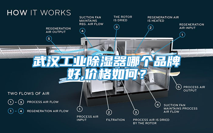 武漢工業除濕器哪個品牌好,價格如何？