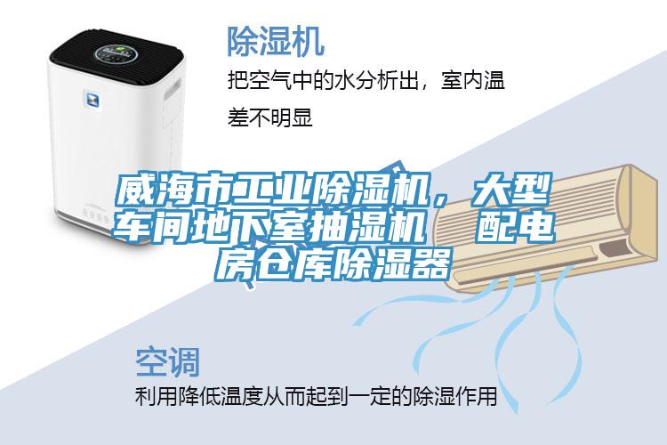 威海市工業榴莲视频官网APP，大型車間地下室抽濕機  配電房倉庫除濕器