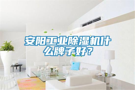 安陽工業榴莲视频官网APP什麽牌子好？