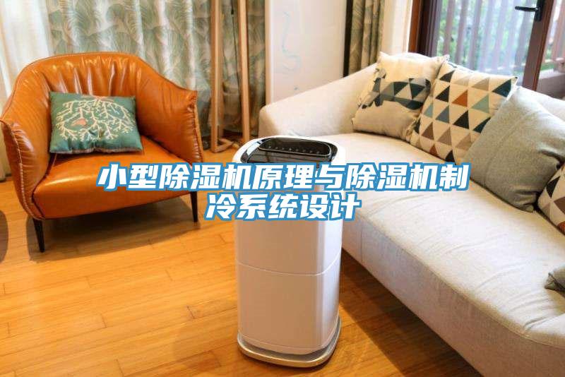小型榴莲视频官网APP原理與榴莲视频官网APP製冷係統設計