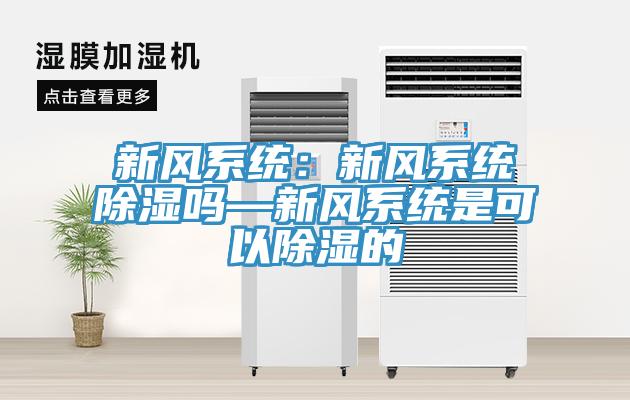 新風係統：新風係統除濕嗎—新風係統是可以除濕的