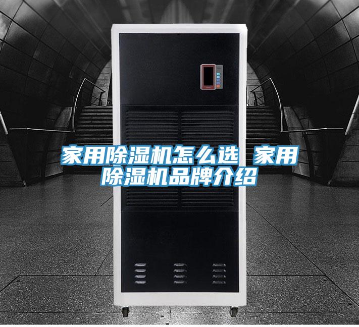 家用榴莲视频官网APP怎麽選 家用榴莲视频官网APP品牌介紹