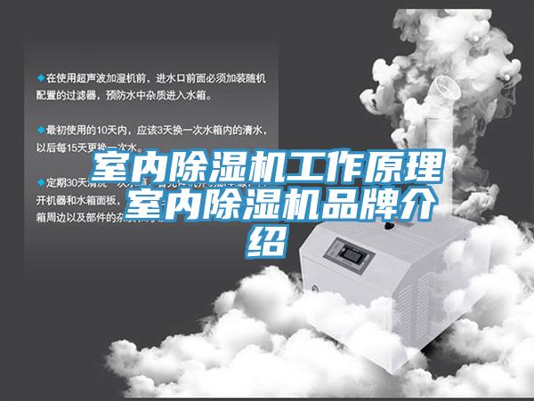 室內榴莲视频官网APP工作原理 室內榴莲视频官网APP品牌介紹