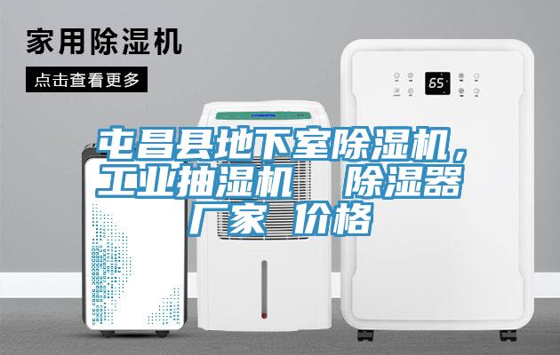 屯昌縣地下室榴莲视频官网APP，工業抽濕機  除濕器廠家 價格