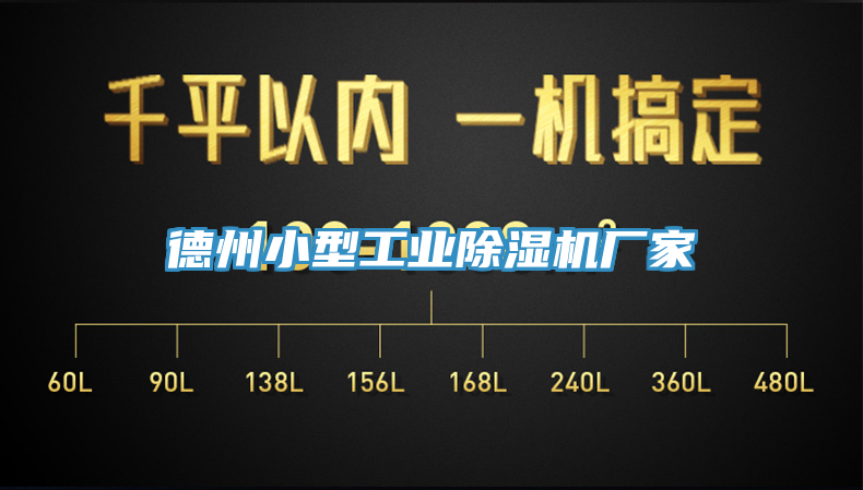 德州小型工業榴莲视频官网APP廠家