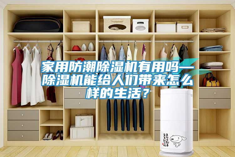 家用防潮榴莲视频官网APP有用嗎—榴莲视频官网APP能給人們帶來怎麽樣的生活？