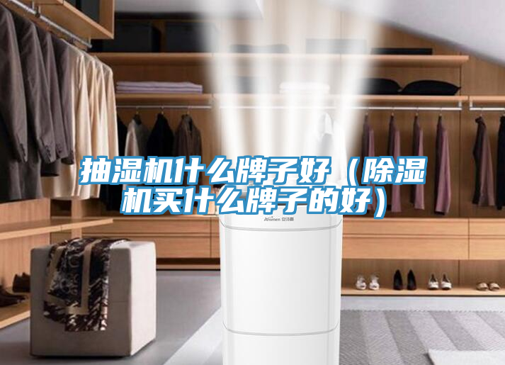 抽濕機什麽牌子好（榴莲视频官网APP買什麽牌子的好）