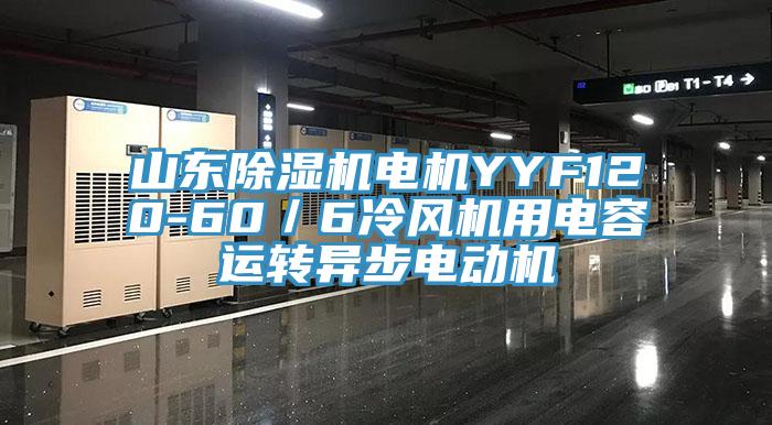 山東榴莲视频官网APP電機YYF120-60／6冷風機用電容運轉異步電動機