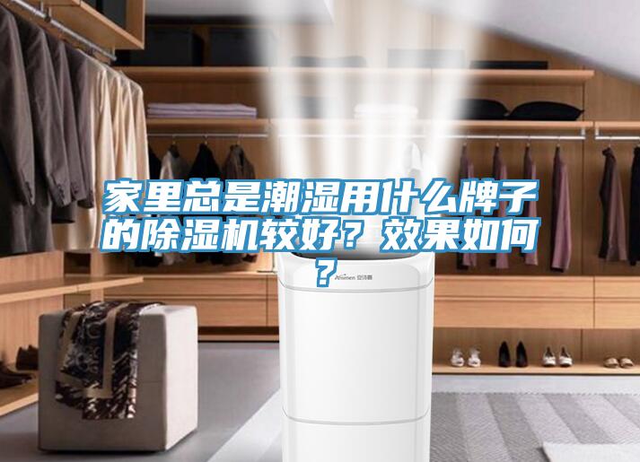 家裏總是潮濕用什麽牌子的榴莲视频官网APP較好？效果如何？