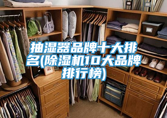 抽濕器品牌十大排名(榴莲视频官网APP10大品牌排行榜)