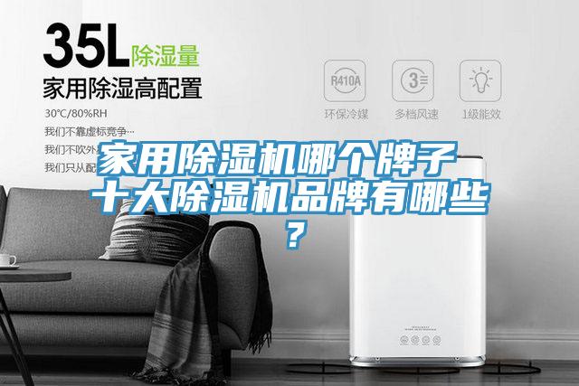 家用榴莲视频官网APP哪個牌子 十大榴莲视频官网APP品牌有哪些？