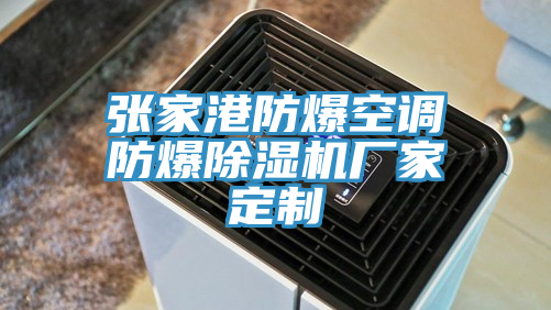 張家港防爆空調防爆榴莲视频官网APP廠家定製