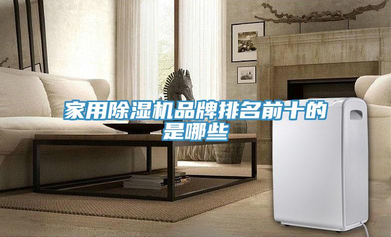 家用榴莲视频官网APP品牌排名前十的是哪些