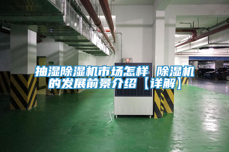 抽濕榴莲视频官网APP市場怎樣 榴莲视频官网APP的發展前景介紹【詳解】