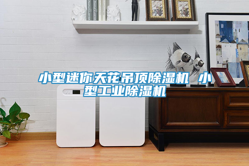 小型迷你天花吊頂榴莲视频官网APP 小型工業榴莲视频官网APP