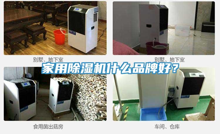 家用榴莲视频官网APP什麽品牌好？