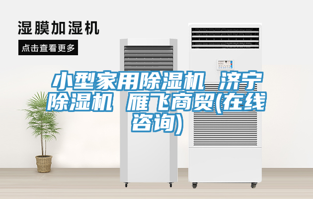 小型家用榴莲视频官网APP 濟寧榴莲视频官网APP 雁飛商貿(在線谘詢)