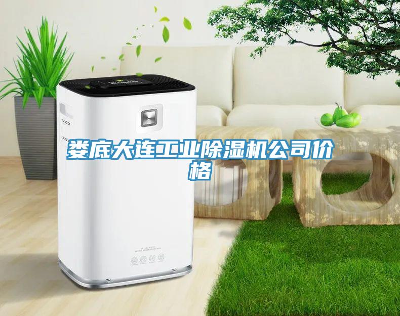 婁底大連工業榴莲视频官网APP公司價格