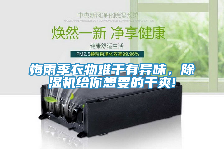 梅雨季衣物難幹有異味，榴莲视频官网APP給你想要的幹爽!