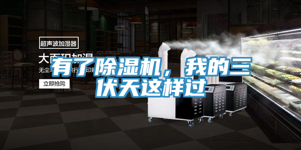 有了榴莲视频官网APP，我的三伏天這樣過