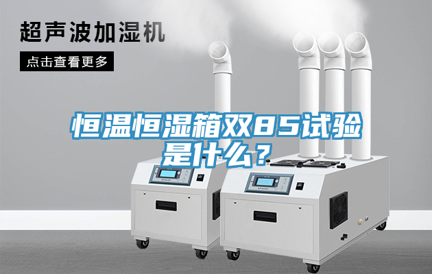 恒溫恒濕箱雙85試驗是什麽？
