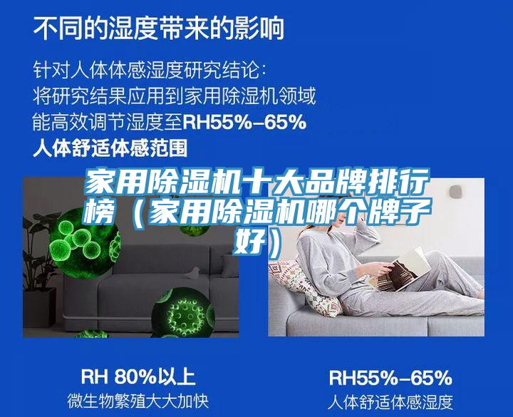 家用榴莲视频官网APP十大品牌排行榜（家用榴莲视频官网APP哪個牌子好）