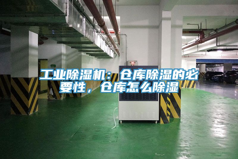 工業榴莲视频官网APP：倉庫除濕的必要性，倉庫怎麽除濕