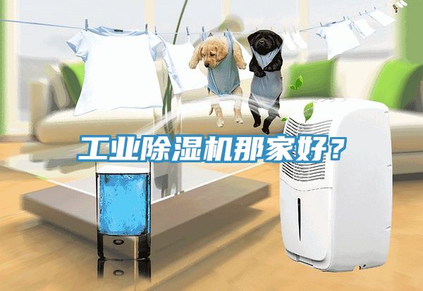 工業榴莲视频官网APP那家好？