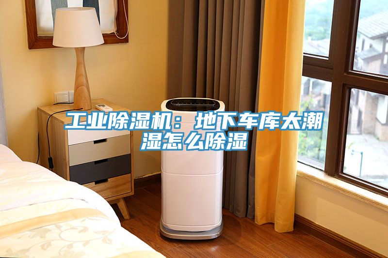 工業榴莲视频官网APP：地下車庫太潮濕怎麽除濕