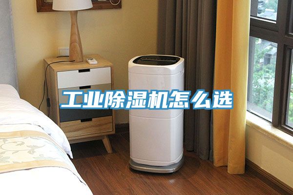 工業榴莲视频官网APP怎麽選