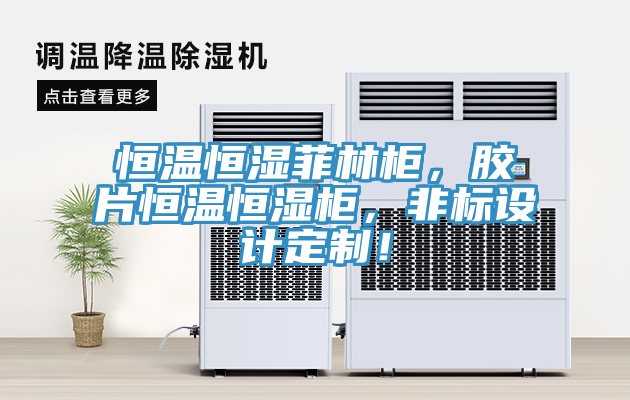 恒溫恒濕菲林櫃，膠片恒溫恒濕櫃，非標設計定製！