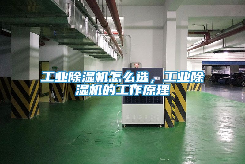 工業榴莲视频官网APP怎麽選，工業榴莲视频官网APP的工作原理