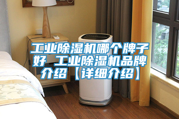 工業榴莲视频官网APP哪個牌子好 工業榴莲视频官网APP品牌介紹【詳細介紹】