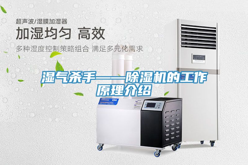 濕氣殺手——榴莲视频官网APP的工作原理介紹