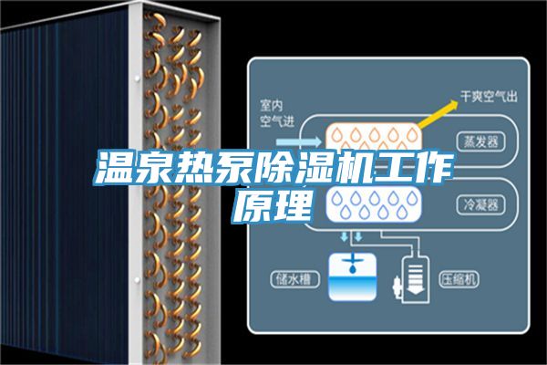 溫泉熱泵榴莲视频官网APP工作原理