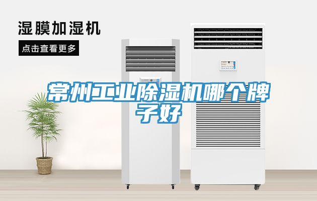 常州工業榴莲视频官网APP哪個牌子好