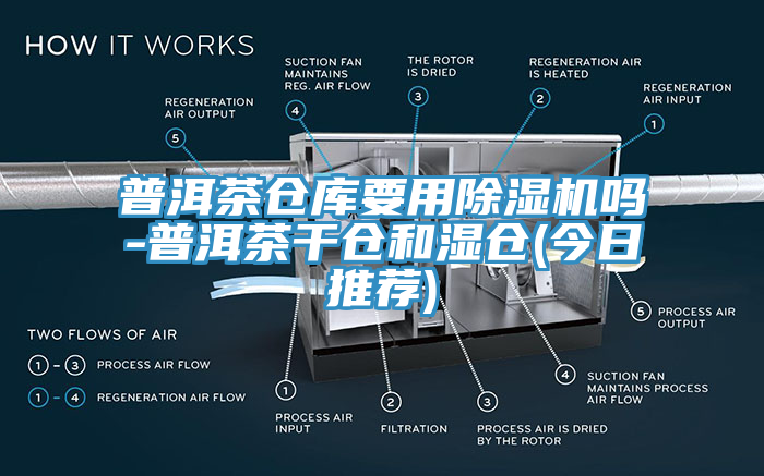 普洱茶倉庫要用榴莲视频官网APP嗎-普洱茶幹倉和濕倉(今日推薦)
