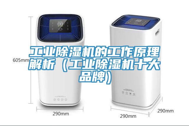 工業榴莲视频官网APP的工作原理解析（工業榴莲视频官网APP十大品牌）