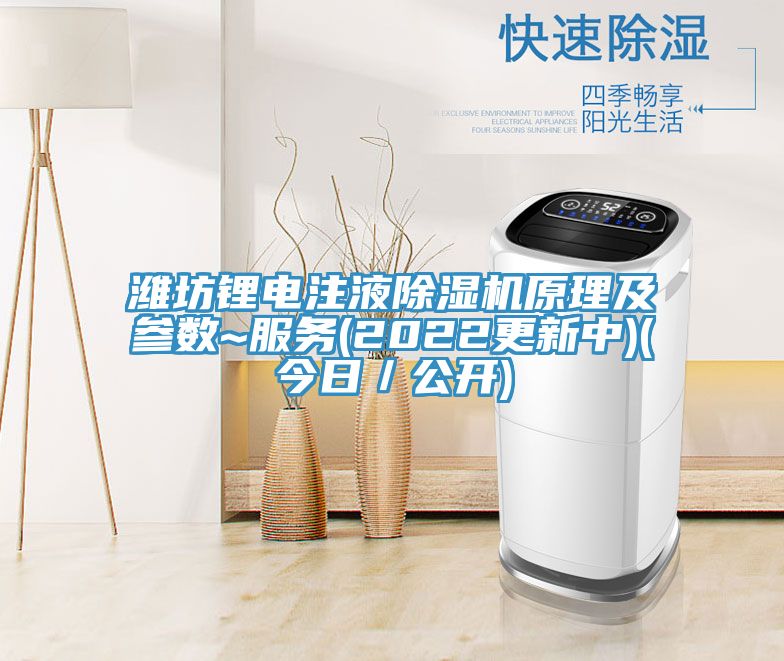濰坊鋰電注液榴莲视频官网APP原理及參數~服務(2022更新中)(今日／公開)