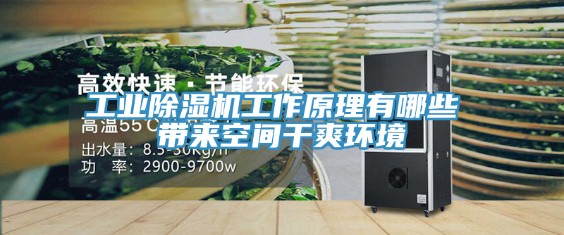 工業榴莲视频官网APP工作原理有哪些 帶來空間幹爽環境